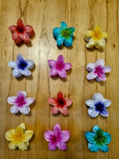 Broche Flores Hawaianas - comprar online