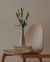 Deco & Home