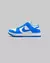Dunk Low SB na internet