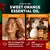 Óleo Essencial Hidratante , Aroma de Laranja, Ideal para Massagem, Difusores, 100 ml marca firmoyo - Ouver Shop