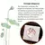 Creme de Aromaterapia Puro Portátil para Mulheres - 15g -FLOR DE CEREJEIRA na internet
