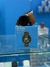 Smartwatch G-Tide R2 Pro