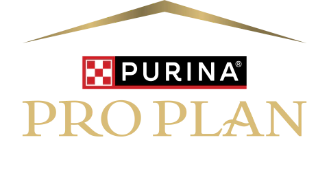 Marca 4 de Pocas Pulgas