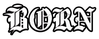 Born Company 