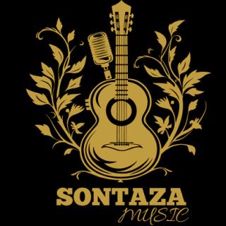 sontazamusic - Instrumentos e acessórios 