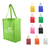 Bolsa Ecologica Ecostyle Non Woven 42x32x16