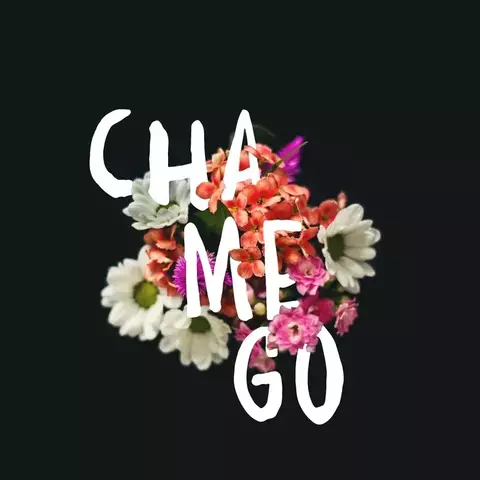 POSTER 30X30 - CHAMEGO - comprar online