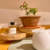Difusor de Varetas Spices - comprar online