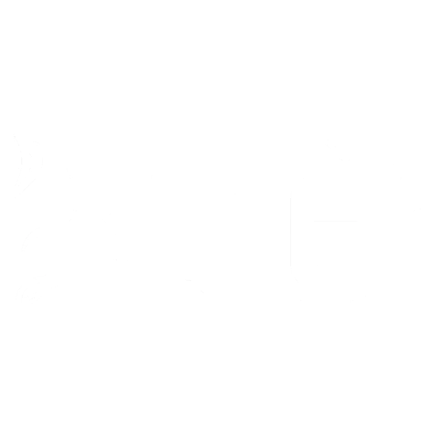Boneti Store