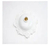 Plafon Com Soquete Branco Pavilonis