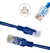 Cabo De Rede Cat6 Xcell Flex Gold Xc-cr-5m - 5 Metros na internet
