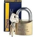 Cadeado Tetra Papaiz 60mm - comprar online