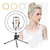 Anel Ring Light 8 Pol + Tripé De Mesa + Suporte Cel Video Cor Da Estrutura Preto Cor Da Luz Regulavel 110v/220v