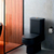 Assento Sanitario Deca Link Preto Fosco Soft Close Tf Tupan - BugShop