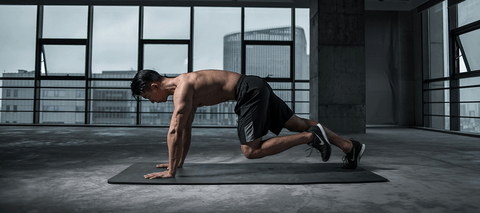 Carrusel Nutracoder Protocolos de Longevidad y Wellness