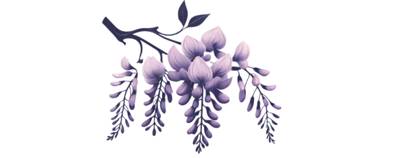 Glicinias