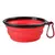 Imagem do Tijela de Silicone Pet, Comida e Água para Cães e Gatos