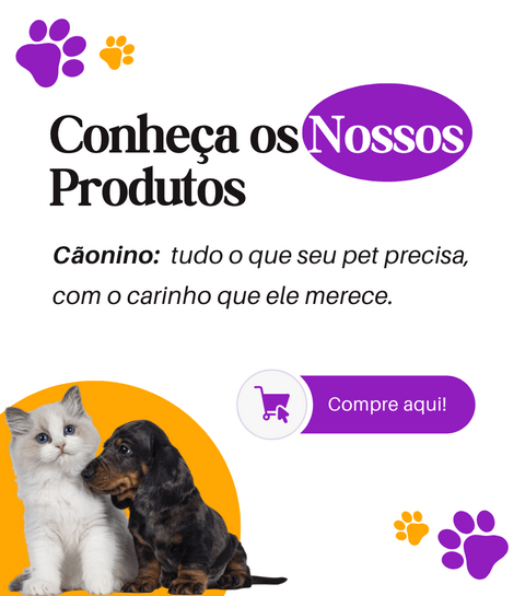 Carrossel 1