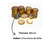 Moedas de chocolate 160g Ki-kakau c/46un - loja online