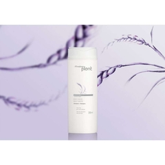 NT - Shampoo Natura Plant Liso e Solto 300ml - comprar online