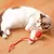 Bolinha Interativa para Pets - comprar online