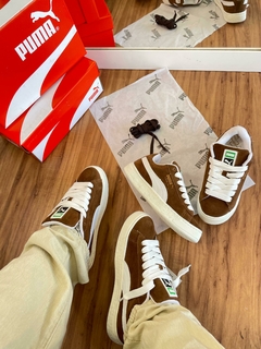 Puma Marrom