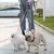 Guia Dupla 360° Retrátil 3m com Lanterna – Controle e Segurança para Passeios com Pets - comprar online