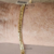 Pulseira groumet laminada - ouro 18K - comprar online