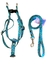 Conjunto pretal y Correa Talle 1 - comprar online