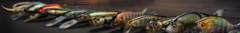 Banner da categoria Iscas Artificiais