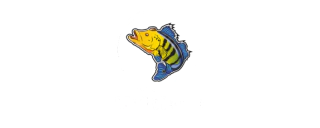 Multi Iscas