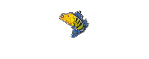 Multi Iscas