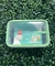 Pote Plástico com Travas Freshy 1,24 l Verde - Sanremo - comprar online