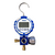 Manifold Digital Simple Value V-DGS1