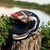 CASCO INTEGRAL MT | SHARKY
