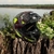 CASCO INTEGRAL MAC | negro y amarillo