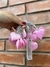 GUIRNALDA LED CORAZONES ROSAS (AA)
