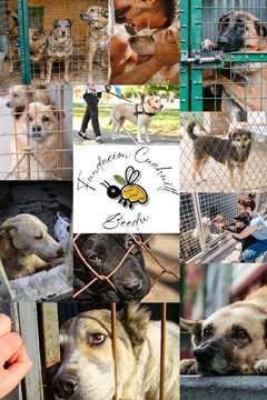 Banner de la categoría Donativos