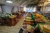PESCARIA em CORUMBÁ/PANTANAL MS - VAGAS INDIVIDUAIS PARA HOMENS - 06/08/2025 a 11/08/2025 - Barco Lord - Suíte Tripla - loja online