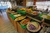 PESCARIA em CORUMBÁ/PANTANAL MS - VAGAS INDIVIDUAIS PARA HOMENS - 24/08/25 a 29/08/25 - Barco Lord - Suíte Tripla - loja online