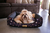 Cama Confortável Preta Estampa de Cachorro Quadrada Para Cães e Gatos de Todos os Tamanhos Tamanho:GG - comprar online