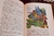 Robinson Crusoe en internet