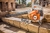 STIHL BG 50 - Sopladora Ligera y Potente para Jardines y Espacios Públicos en internet