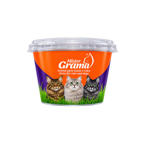 GRAMINHA PARA GATOS MISTER