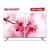 14 1 TV 50 SMART SHARP 4K 4T-C50FL6L GOOGLE TV en internet