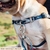 Imagem do Guia para Cachorro de Poliéster com Fecho de Rosca 1,2 Metros T-mutts