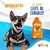 Shampoo para Filhotes Cheiro de Baby 500 ml Beeps - GENTEdePATAS