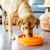 Alimentador Lento Oh Fun Feeder Slobowl Orange - comprar online