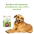 Pet Dog Sticks Probiótico Suplemento para Cães Auxilia no Equilíbrio Intestinal 160g