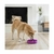 Alimentador Lento Oh Fun Feeder Slobowl Purple - comprar online